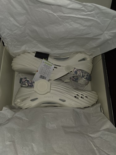 Crocs shock echo - shock, wave