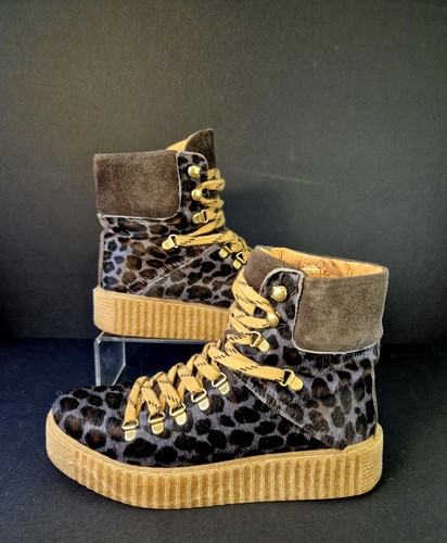 Shoe the bear agda - the,
