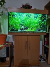 aquarium komplett mit