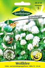 Weißklee - Futterpflanze