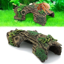 Aquarium garnelen versteck - aquarium,