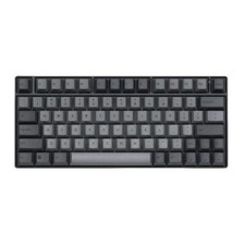 Topre REALFORCE RC1 C1HK13 30g