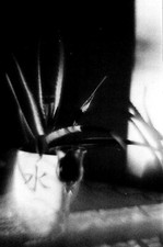 Meyer Optik Görlitz Primotar