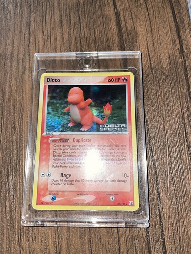2005 pokemon ditto - pokemon, (charmander