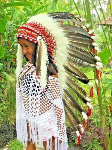 Federhaube war bonnet - bonnet,, indian