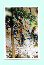 Wolfgang Tillmans Architekt persönlich gesammelt Foto 10x15 original Autogramm