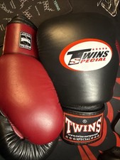 Twins Boxhandschuhe BGVL3