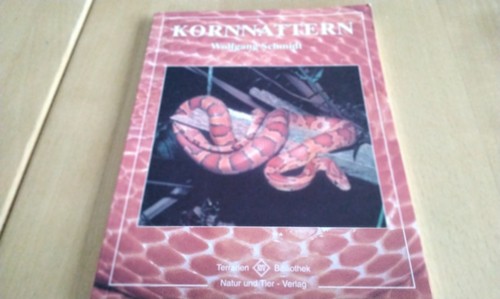 Kornnattern wolfgang schmidt - wolfgang,