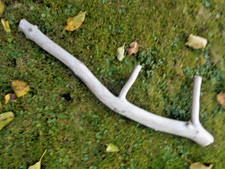 Skulptur Schwemmholz Treibholz Tier Reptil  Terrarium  Deko ca. 70 cm