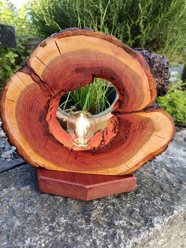 Holz