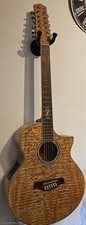 Western Gitarre Ibanez EW20 Halbelektrisch mit Koffer 
