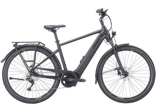 Pegasus premio evo lite - pegasus, 10