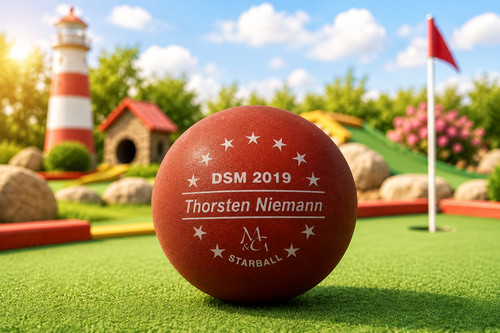 Thorsten niemann dsm 2019 - niemann,