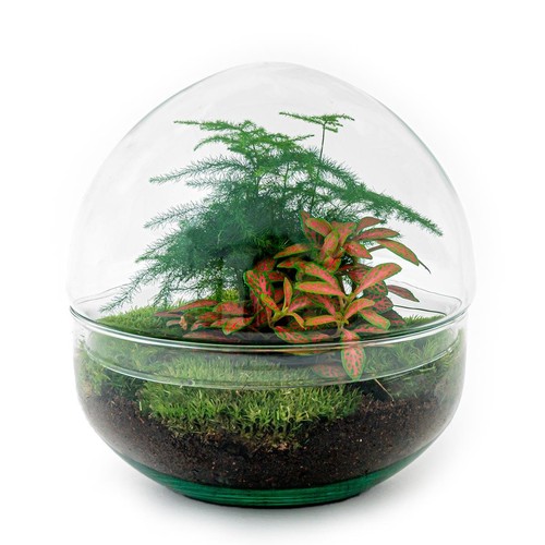 Flaschengarten dome - flaschengarten, "dome"