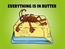 Holzschild 30x40 cm Everything in butter Kakerlake Deko Geschenk Holz Schild