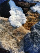 Schaffell Echt / Öko Lammfell