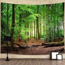  Wald Natur Poster XXL