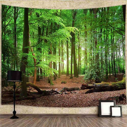 Wald natur poster - wald,