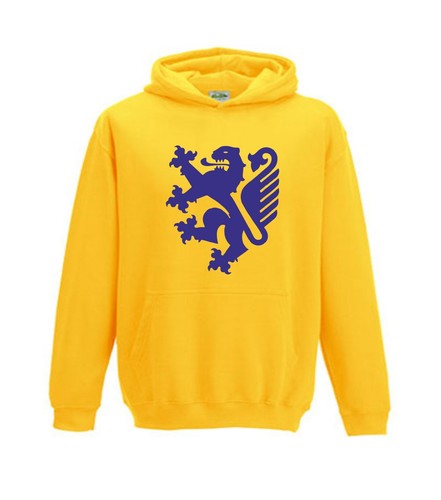 Hooded sweat braunschweig - hooded,