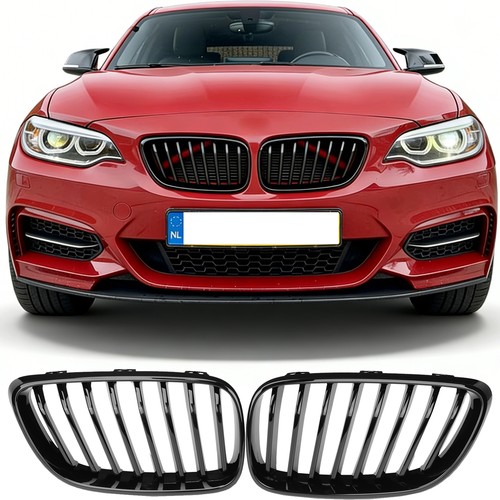 Kühlergrill einzelsteg nieren - kÜhlergrill,