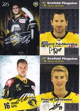 Eishockey - Krefeld Pinguine
