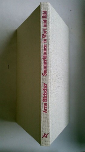 115485 arno hielscher - arno,