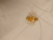 Brosche  , Spinne , vergoldet