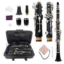 Professional C key Clarinet
