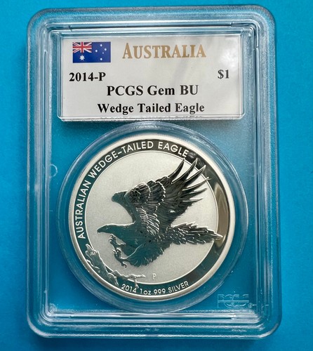 1oz silber wedge - tailed, eagle