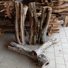 DEKO hohler Ast Baumstamm HolzKlotz Nussbaum Nagerhotel Basteln DIY 30x 14-23cm