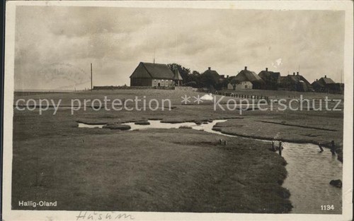 Hallig oland - hallig,