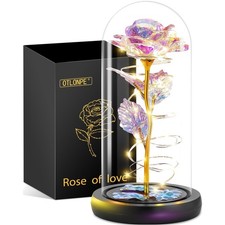 Ewige Rose Geschenke