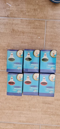 Grün rot 60w e27 - 60w, r80