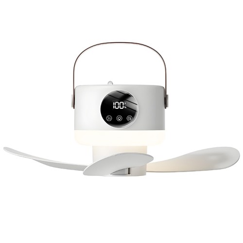 Outdoor ceiling fan - ceiling, with