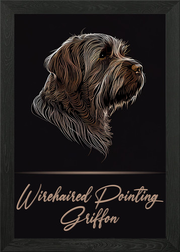 Korthals griffon gerahmtes - korthals,