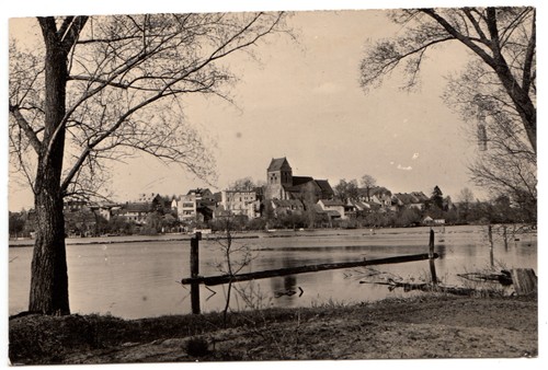 Lychen m teilansicht - m.,,