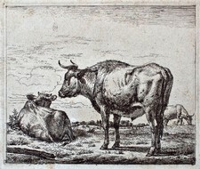 Adriaan van de Velde