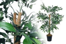 Künstlicher ficus grün - ficus,