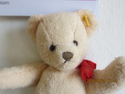 Steiff teddybär petsy aus - ,