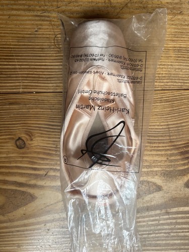 Spitzenschuhe ballett - spitzenschuhe,