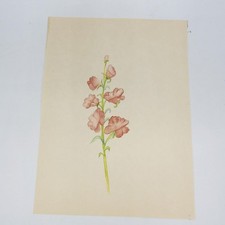 Aquarellmalerei Rote Botanische Blumen Stillleben Bunt