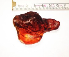 Herrlicher, baltischer