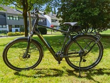 Herren E-Trekkingrad Bergamont