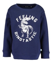 Blue Pullover DINOTASTIC