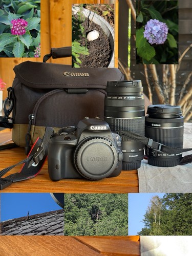 Canon 100d dslr digital camera - canon,
