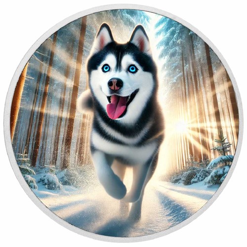 Arctic sprint husky auf - arctic, sprint: