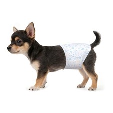 Hundewindeln für Rüden