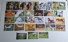30 AK Pferdepostkarten