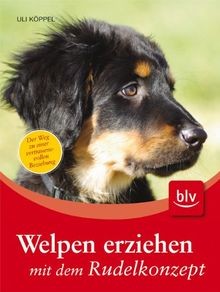 Welpen erziehen mit - , dem