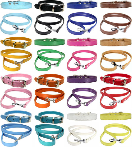 Lebendiges leder hundehalsband - lebendiges,
